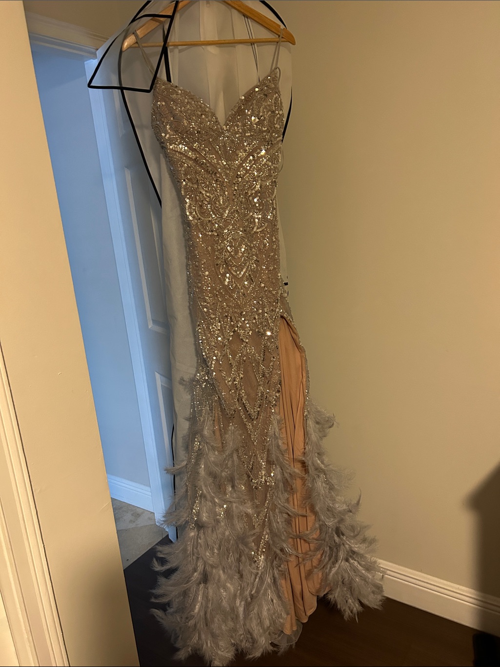 Embellished Feather-Trim Prom Dress In Champagne